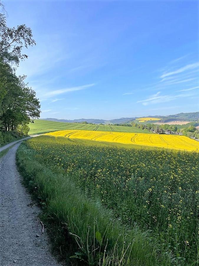 Sauerlaender Henne-Luett Villa Meschede Buitenkant foto
